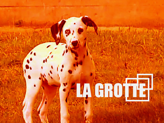 grotte janvier 2011